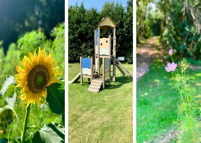 3 Bedrooms, 5 Beds, Beautiful Garden Sint Maartensvlotbrug